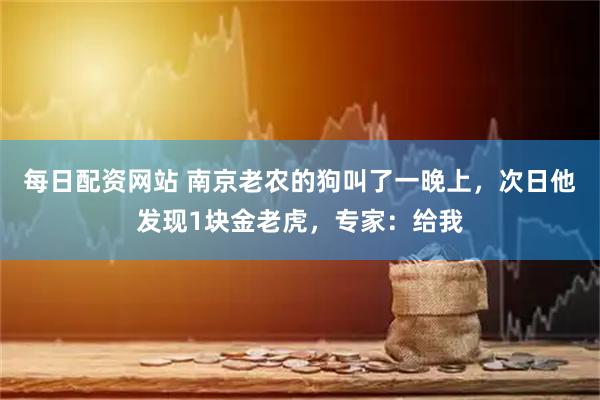 每日配资网站 南京老农的狗叫了一晚上，次日他发现1块金老虎，专家：给我